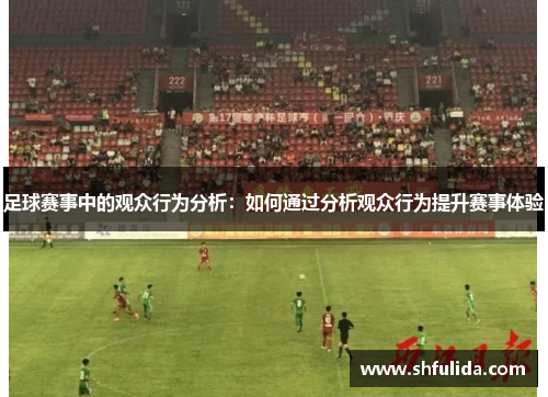 足球赛事中的观众行为分析：如何通过分析观众行为提升赛事体验